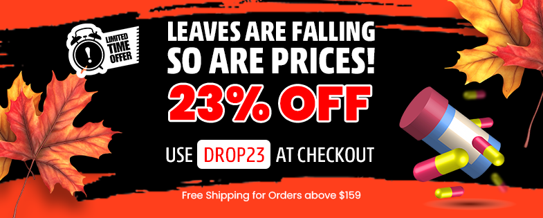 Christmas & New Year Sale